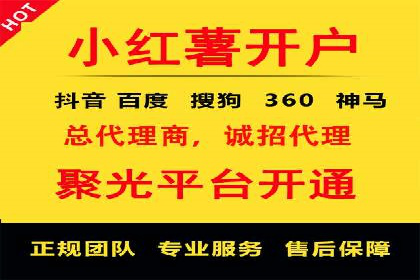 案例分析：竞价推广助力企业打造爆款产品